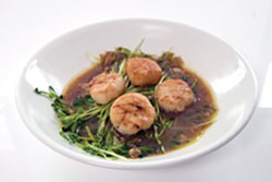 
Scallops on Wilted Pea Shoots. In this dish, the delicate texture and flavor of sea scallops complement the mild-flavored and lightly wilted tender sprouted pea shoots.
